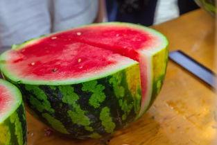 郑州大学免费吃瓜,免费瓜果盛宴，共享清凉时光  第2张